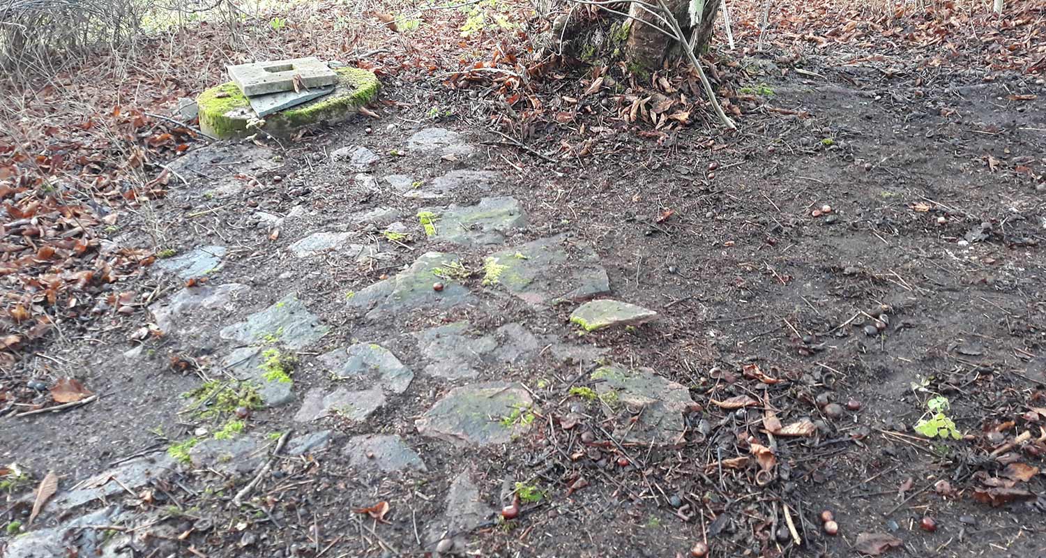 Stigan akkulehtipuhaltimella BL 500E Kit -mallilla puhtaaksi puhallettu maa-alue hevoskastanjan vieressä. Puhallin K-Raudan valikoimista.