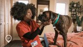 An image of a nurse in her bedroom petting her dog before heading off to work. 