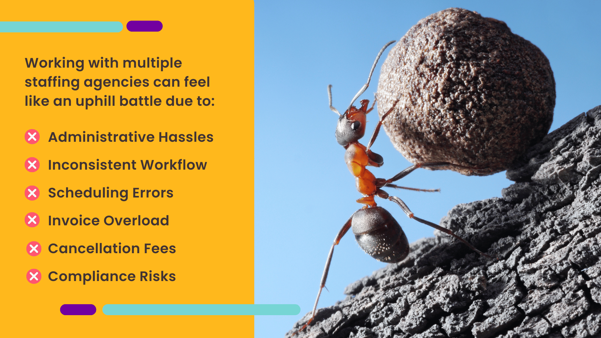 An image of an ant pushing a large rock up a hill demonstrates how working with multiple staffing agencies can feel like an uphill battle.  