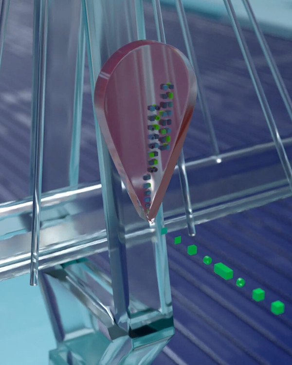 Digital Twin