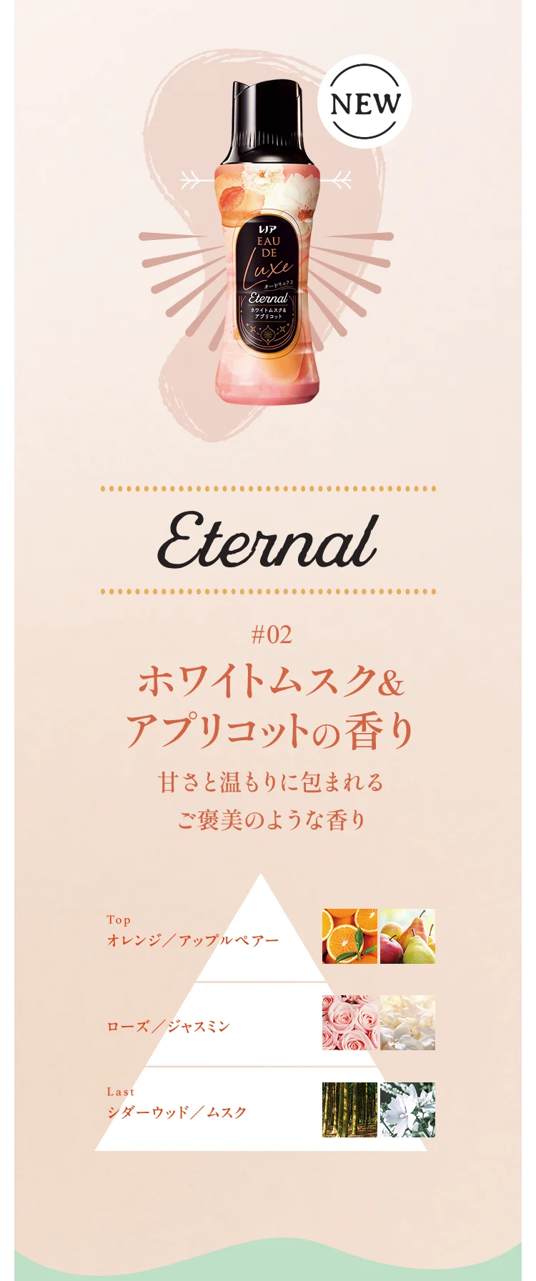 Detail Eternal SP