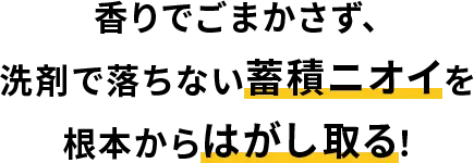 Zapper_SP_text Zapper_SP_text
