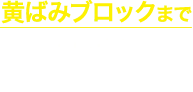 黄ばみブロックまで シトラスホワイトの香り