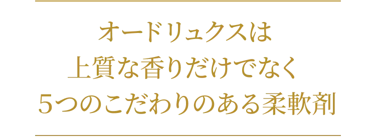 Title main 01 SP