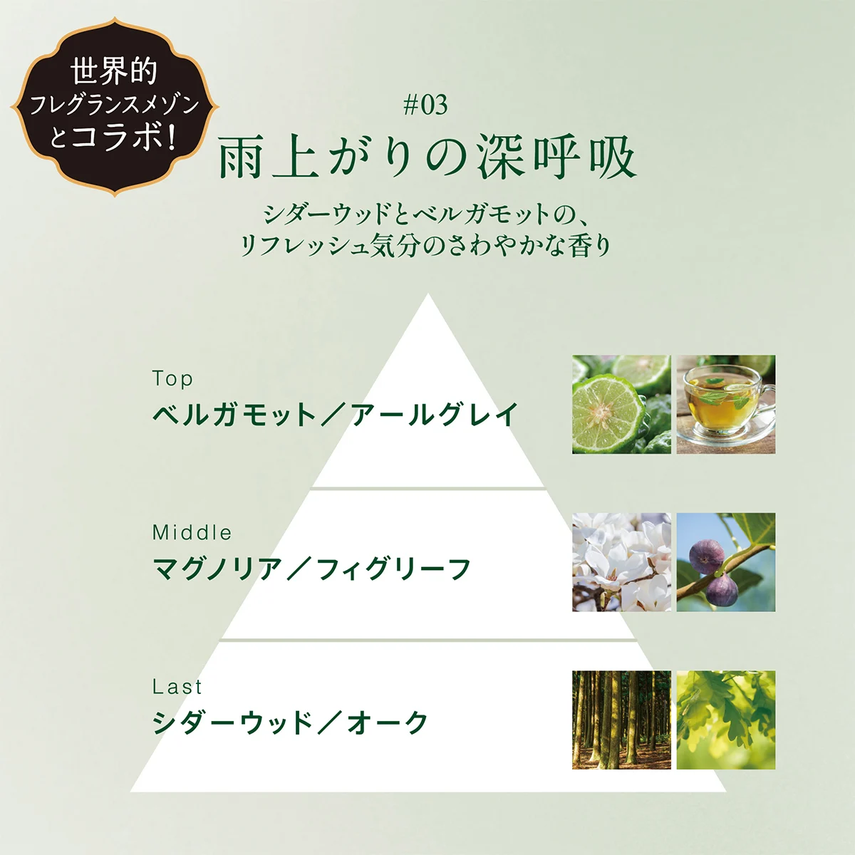 雨上がりの深呼吸