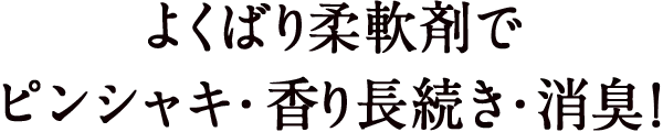 よくばり柔軟剤でピンシャキ・香り長続き・消臭！