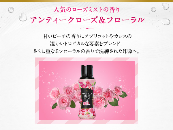 dfs 4 sp