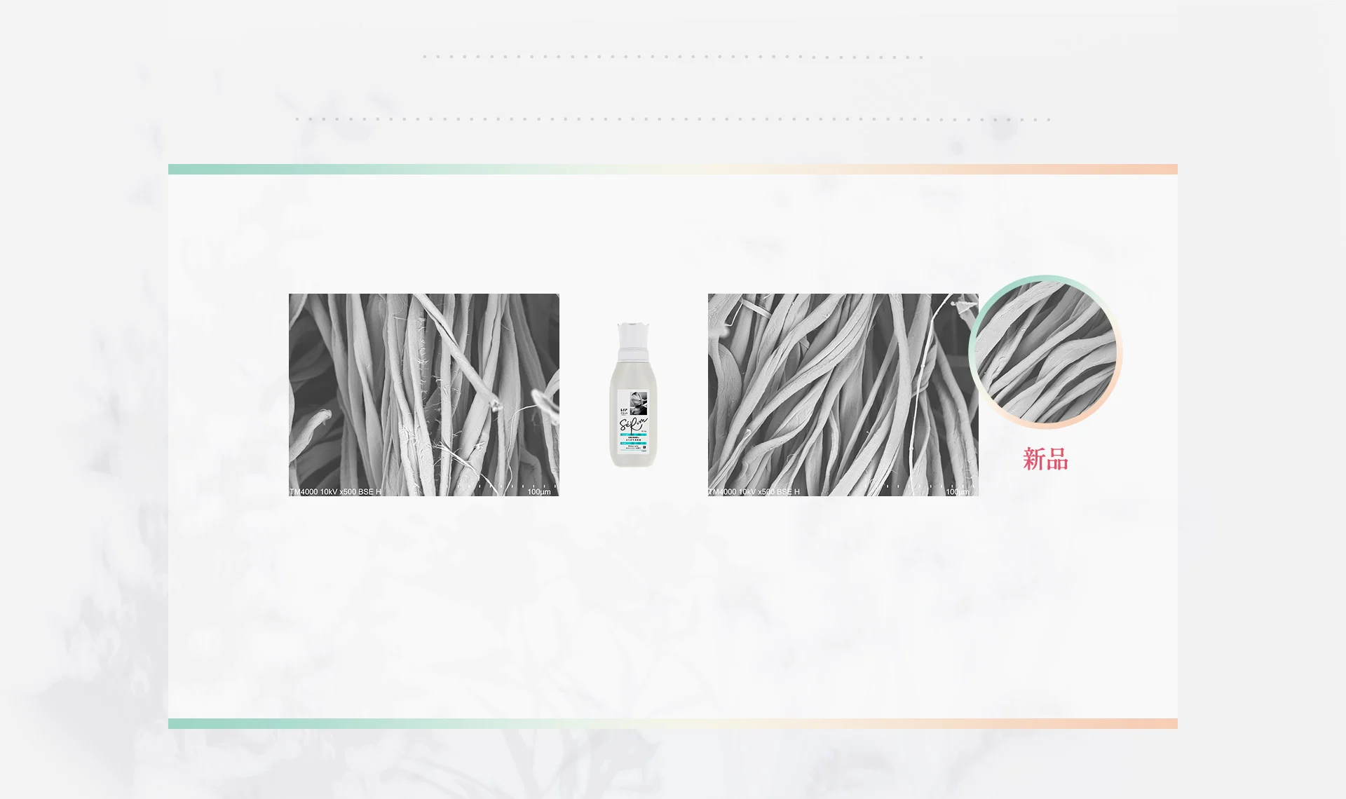 Reset Serum LP PC Content03-2 Reset Serum LP PC Content03-2