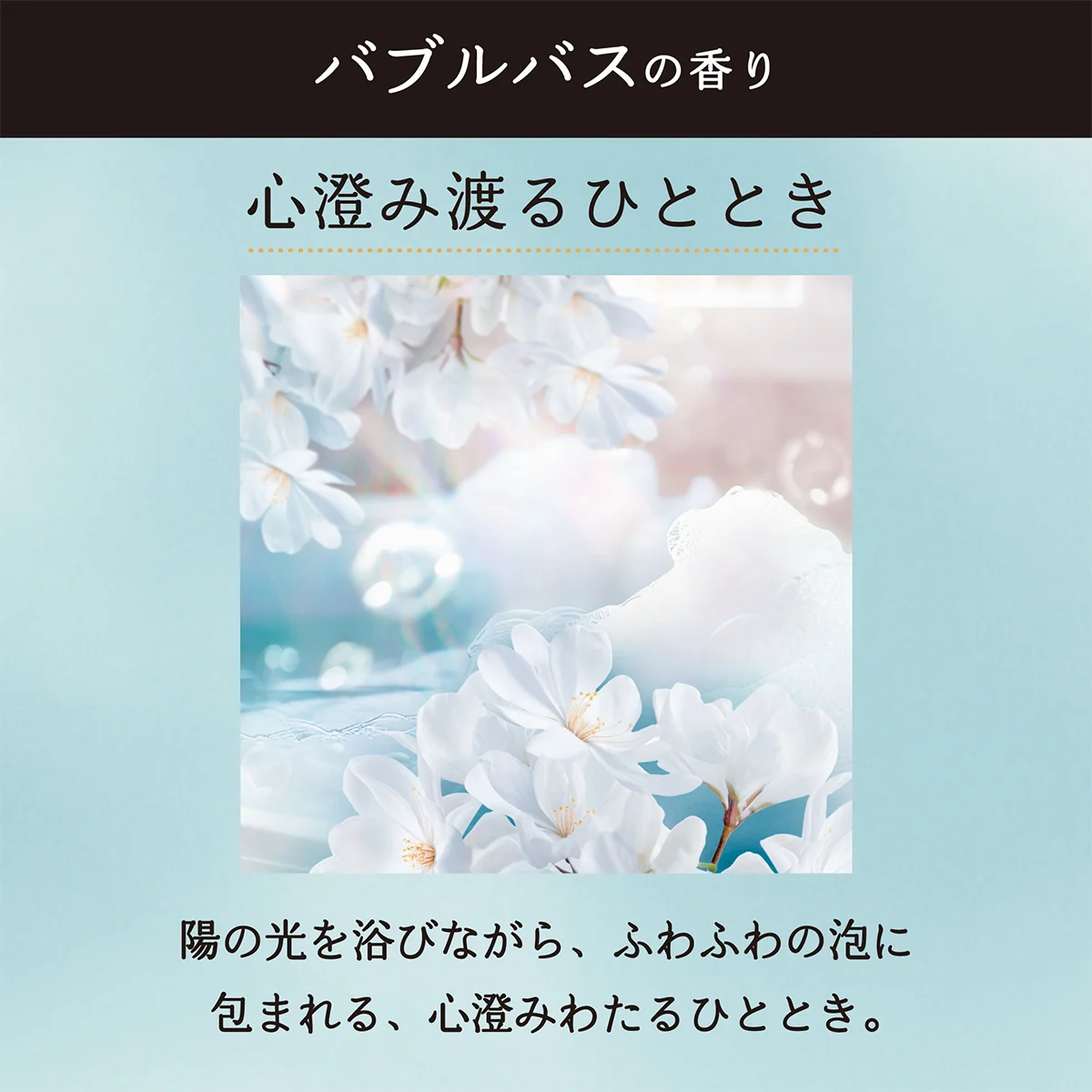 心澄む渡るひととき