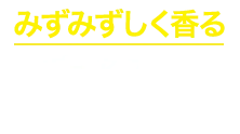 レノア煮沸レベル消臭抗菌ビーズ　みずみずしく香る プュアブーケ＆ソープの香り