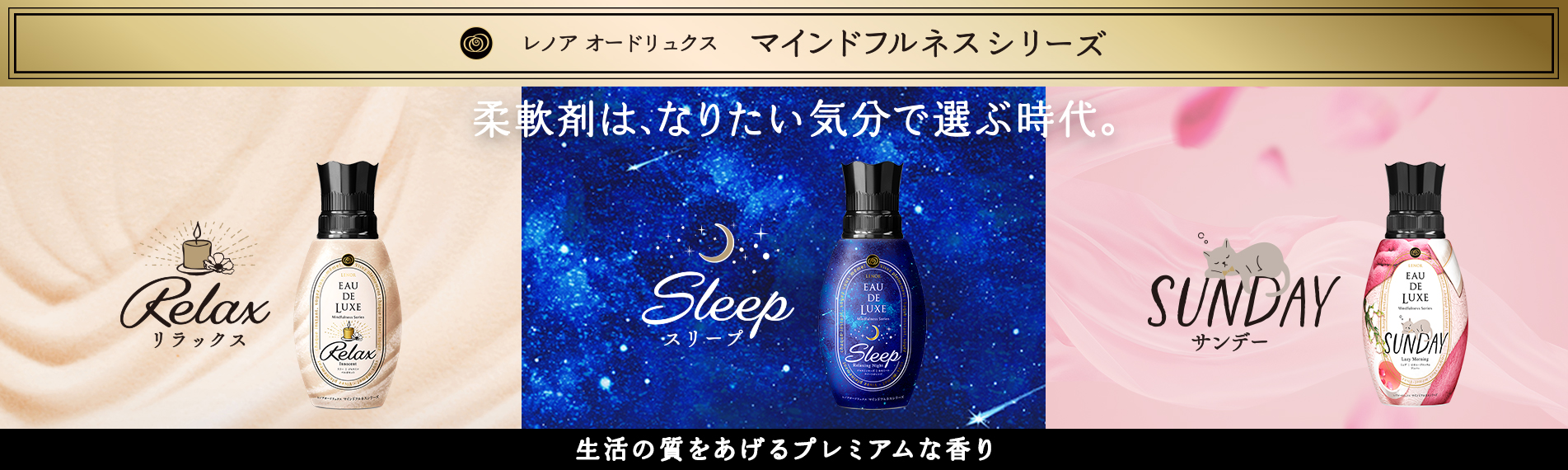 未使用】レノア オードリュクス 6本セット 食し 