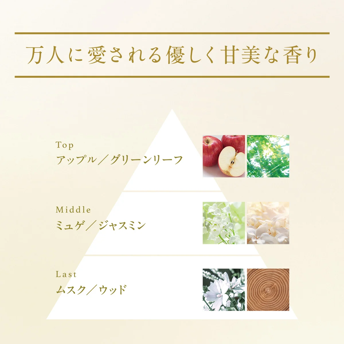 万人に愛される優しく甘美な香り 万人に愛される優しく甘美な香り