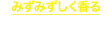 レノア煮沸レベル消臭抗菌ビーズ　みずみずしく香る プュアブーケ＆ソープの香り