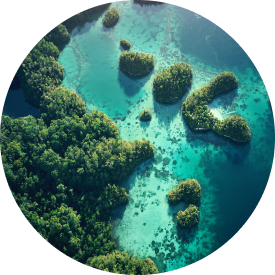 Aerial view of lush green islands surrounded by clear turquoise waters, showcasing natural beauty and diverse ecosystems.