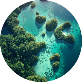 Aerial view of lush green islands surrounded by clear turquoise waters, showcasing natural beauty and diverse ecosystems.