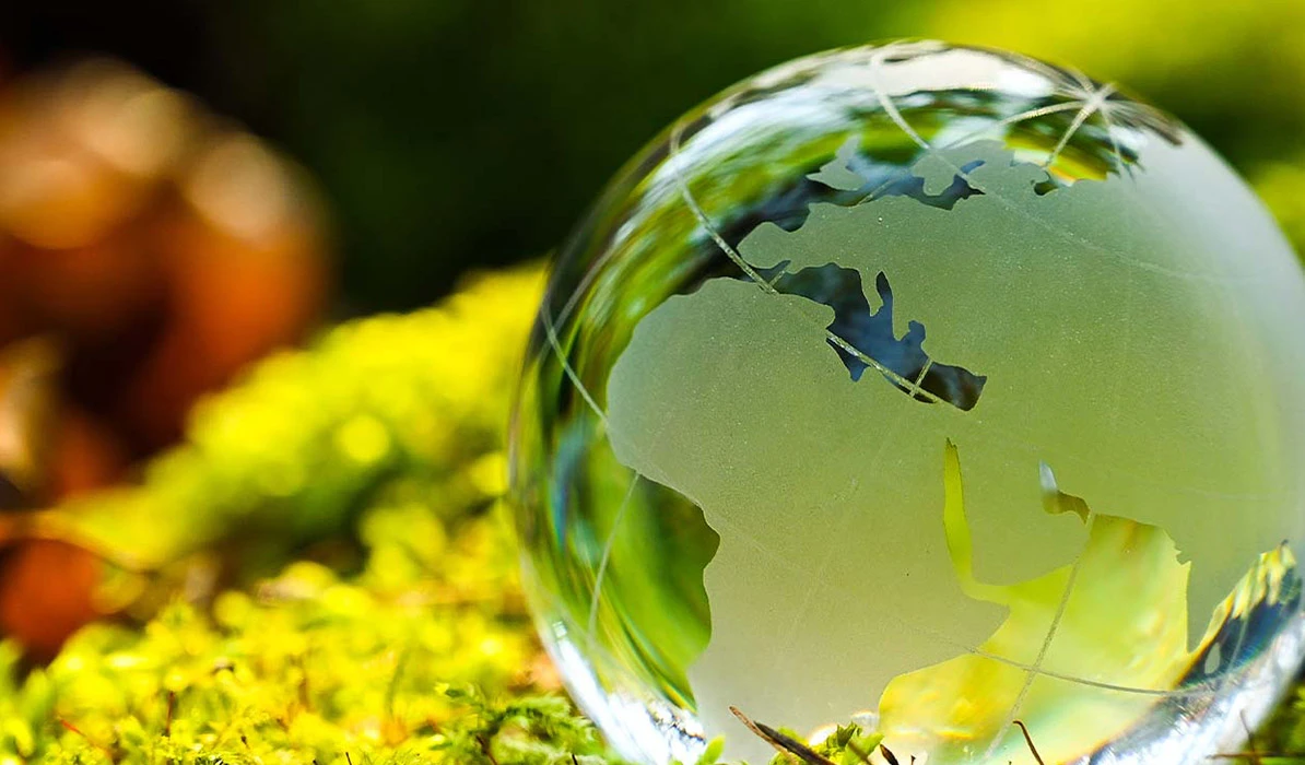 Transparent glass globe resting on green moss, symbolizing sustainability and environmental awareness.