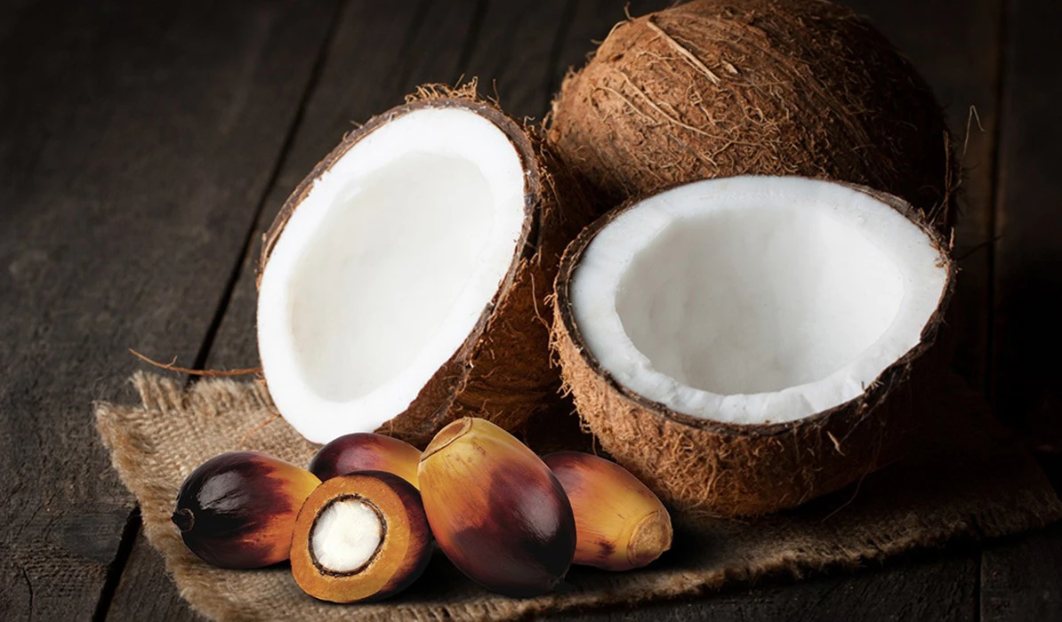 Coconuts and palm fruit arranged on a rustic surface showcasing their textures and colors.