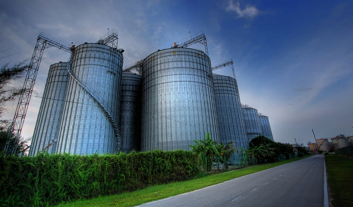 Large industrial silos with a metallic finish, surrounded by greenery under a blue sky.