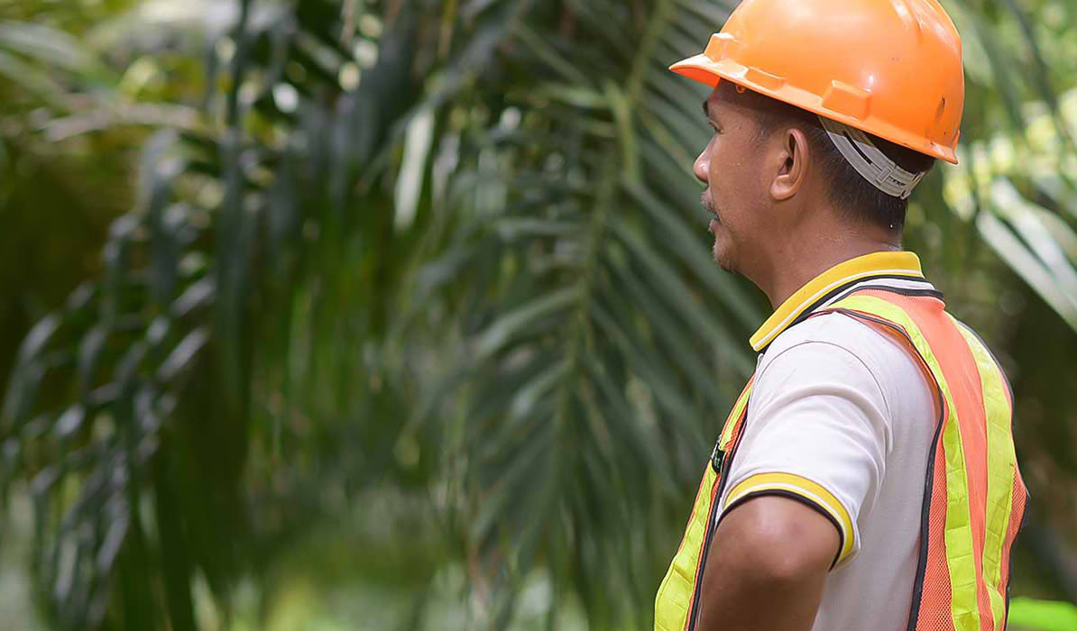 Construction worker in an orange safety helmet and vest stands near tropical plants.