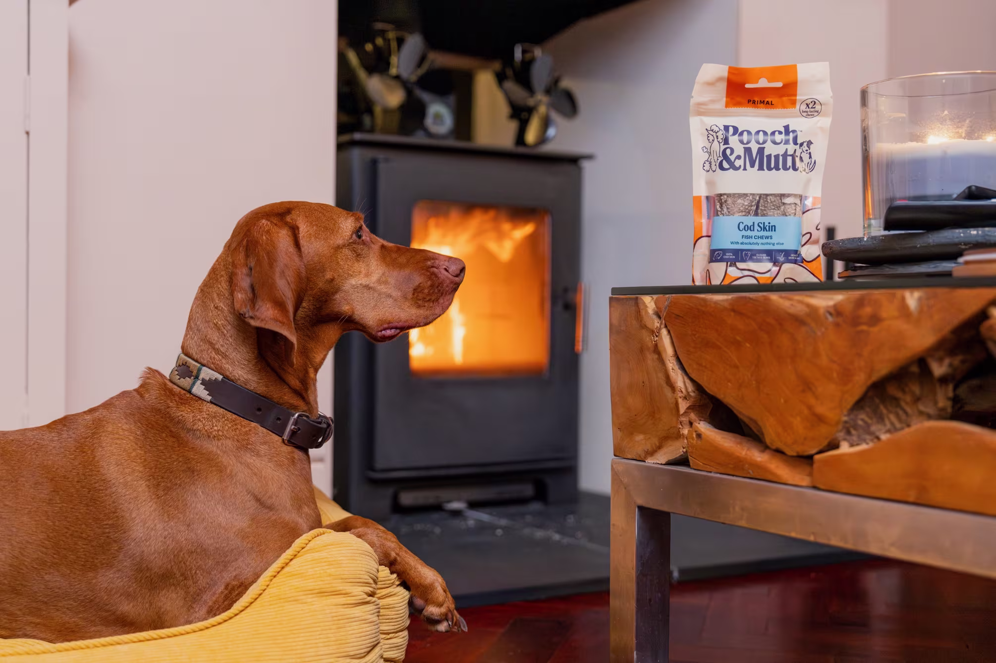 Fish Based Dog Food & Treats collection banner