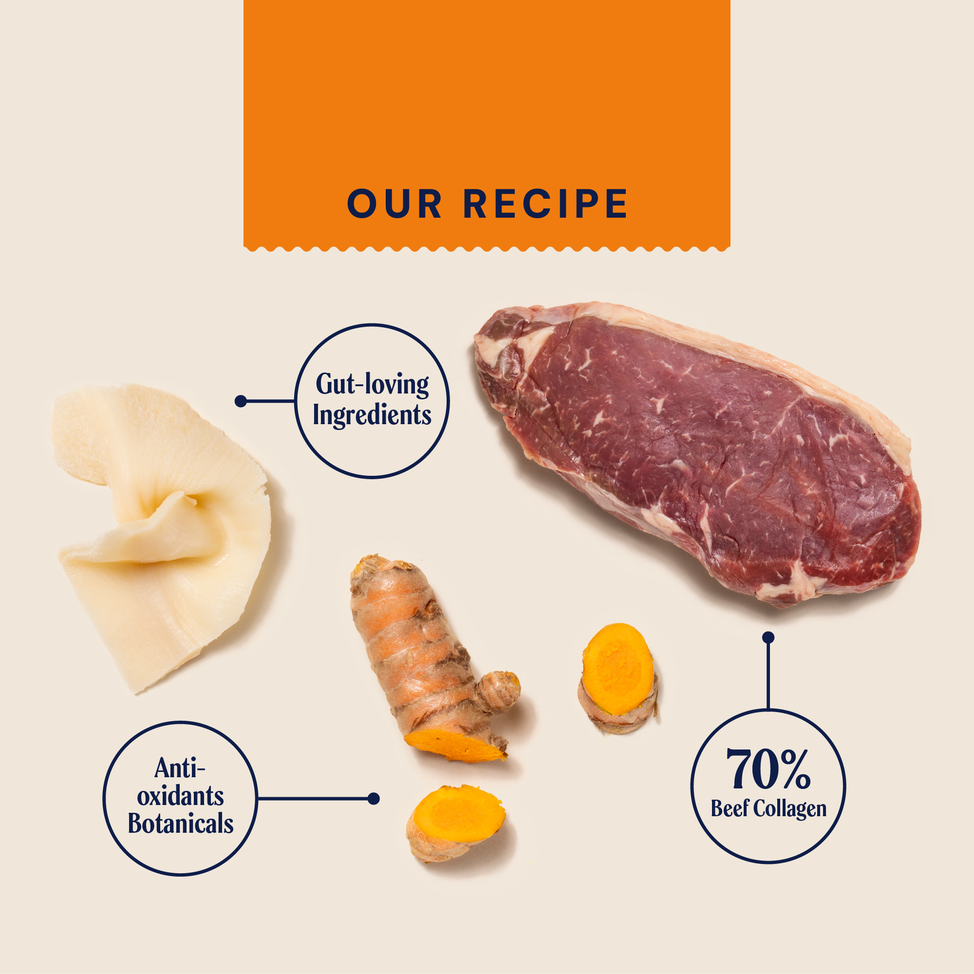 P&M INGREDIENT IMAGE PRIMAL BEEF COLLAGEN CHEWS