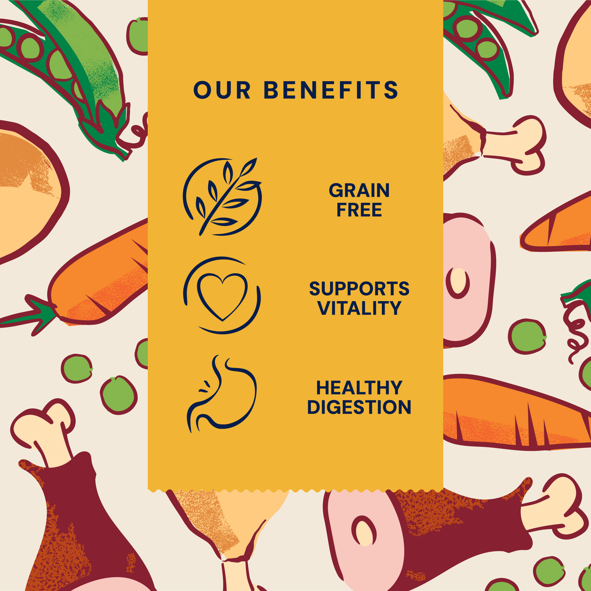 P&M BENEFIT-CARD WET-FOOD SUPERFOODS TURKEY-&-DUCK