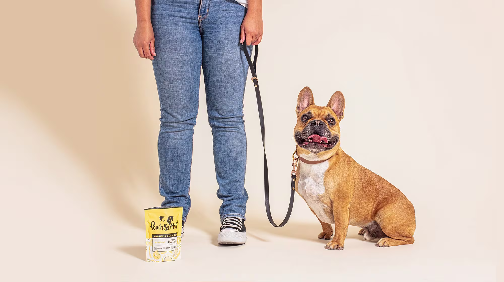 What to do if your dog is stolen-Image 2