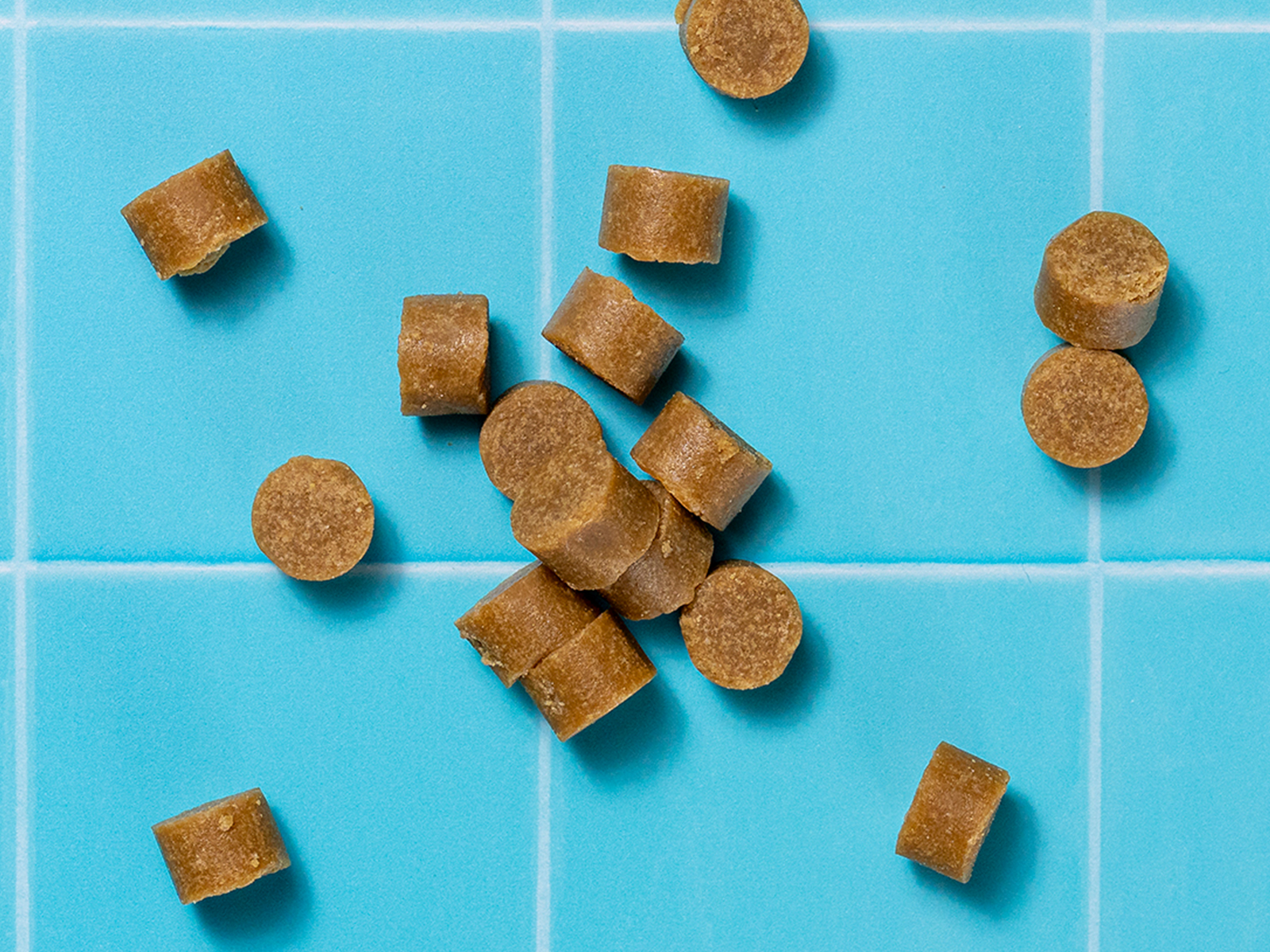 Pet care from top to tail.