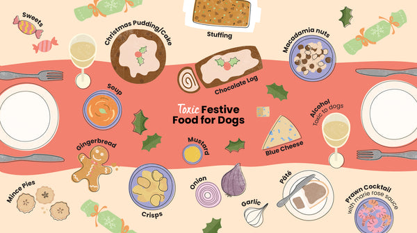 An infographic that shows an illustrated Christmas Dinner table showing what festive foods are toxic for dogs. It includes sweets, Christmas cake or pudding, stuffing, chocolate log, macadamia nuts, blue cheese, alcohol, prawn cocktail, pâté, onion, garlic, crisps, gingerbread, mince pies, soup & mustard