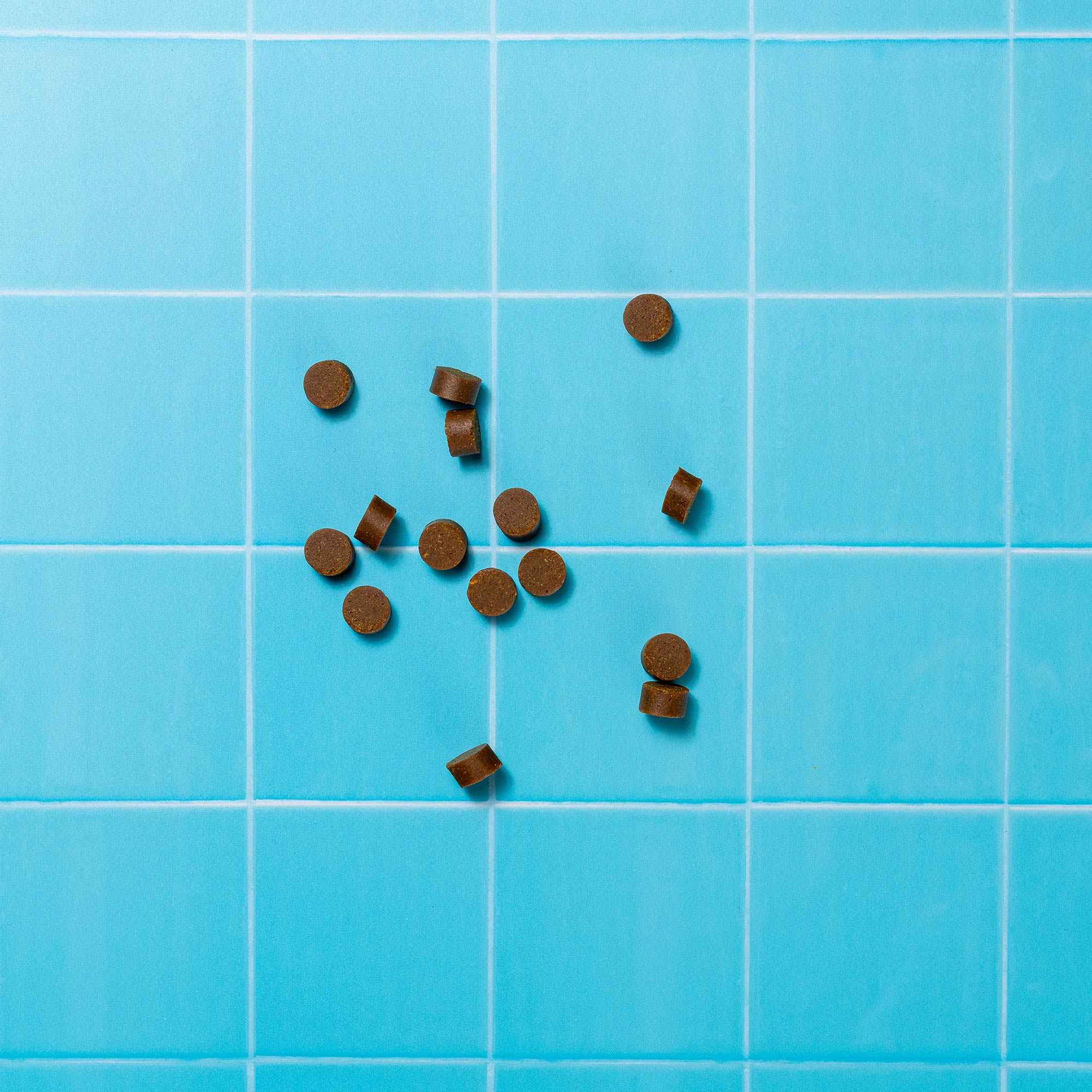 IS MINIS VETERINARY P&M REBRAND