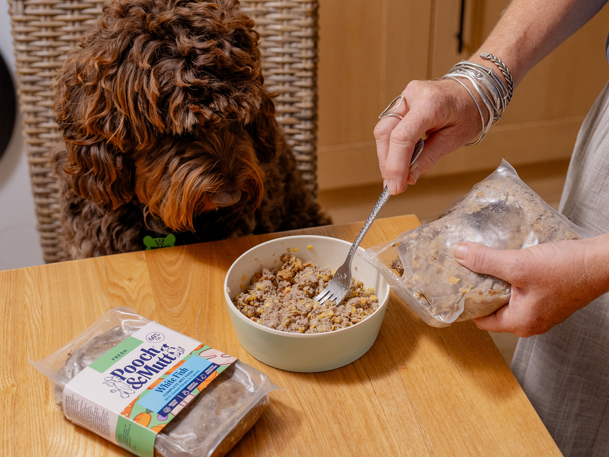 Feeding Raw & Fresh Wet Food To A Dog