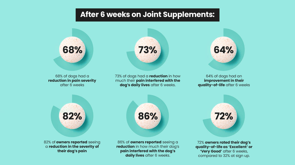Our Joint Supplement Survey: The Results-Image 2