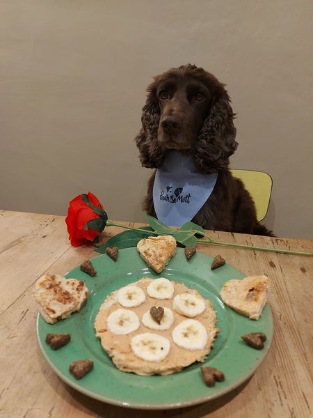 Dog-friendly pancake recipes-Image 3