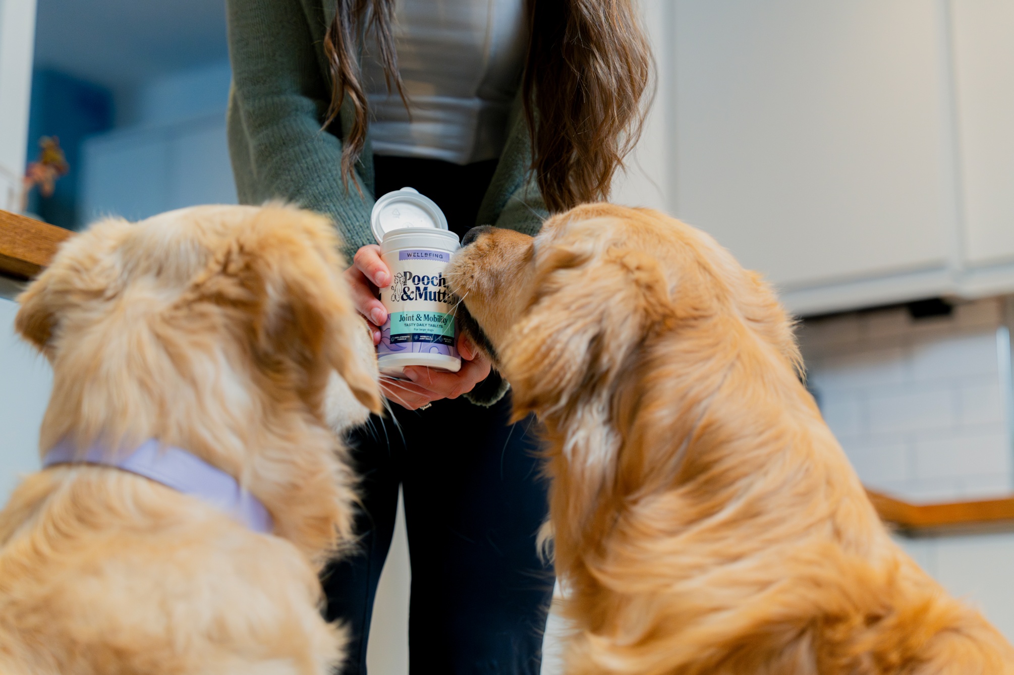 Dog Joint Supplements & Food collection banner