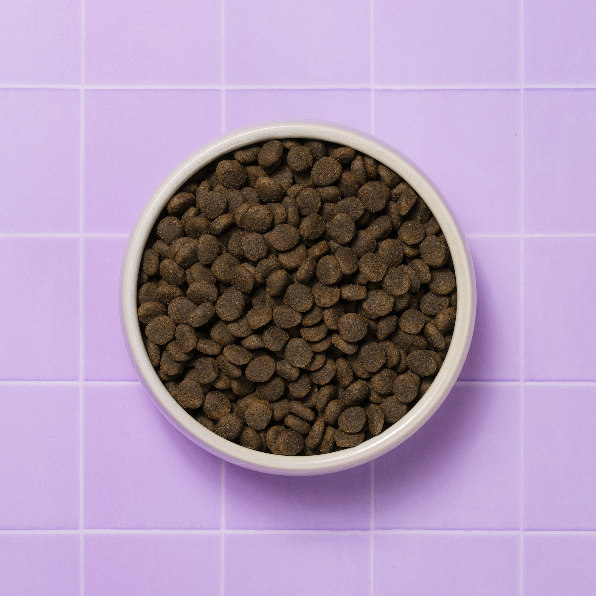 Health & Digestion Dry Food Bowl