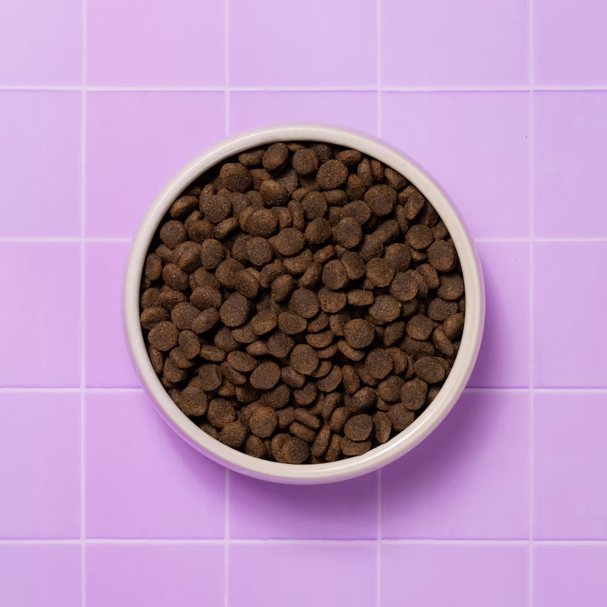 Health & Digestion Dry Food Bowl
