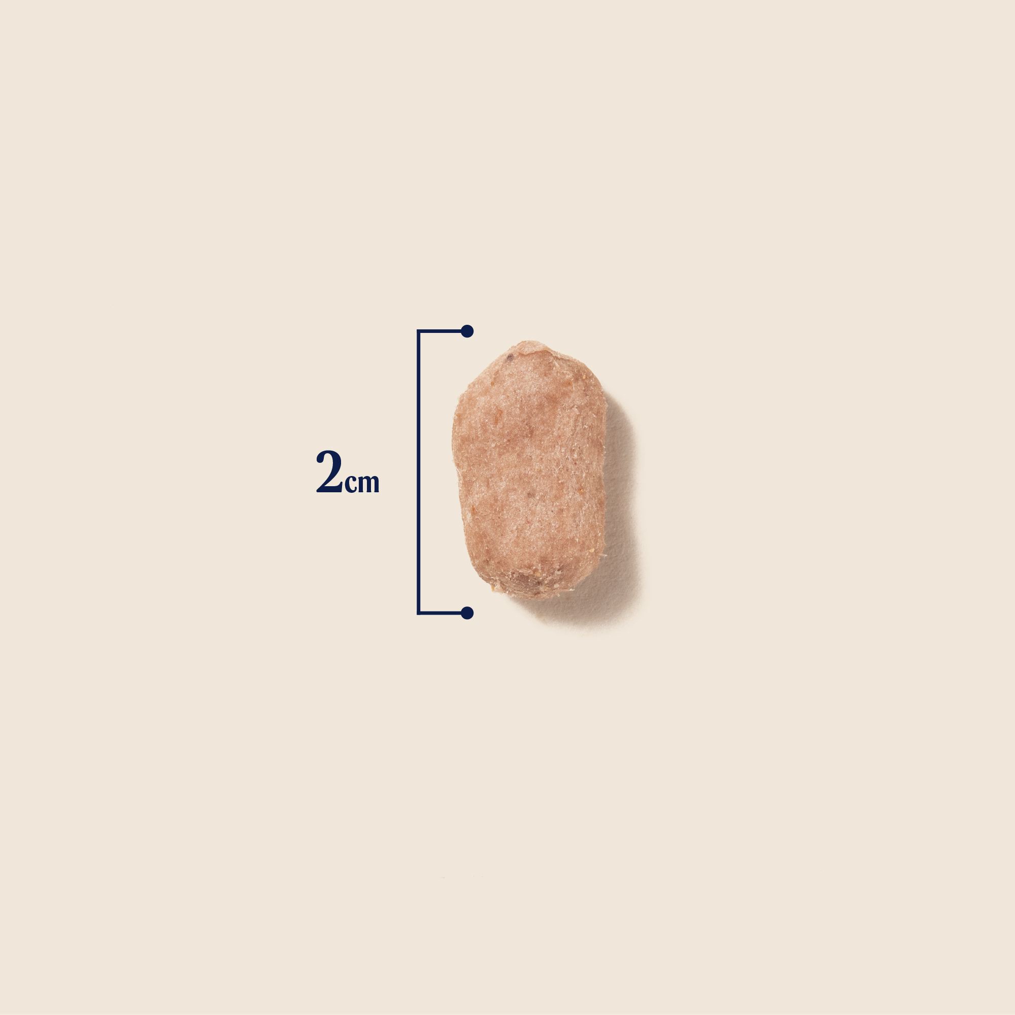 P&M SIZE FREEZE DRIED RAW CHICKEN TOPPER
