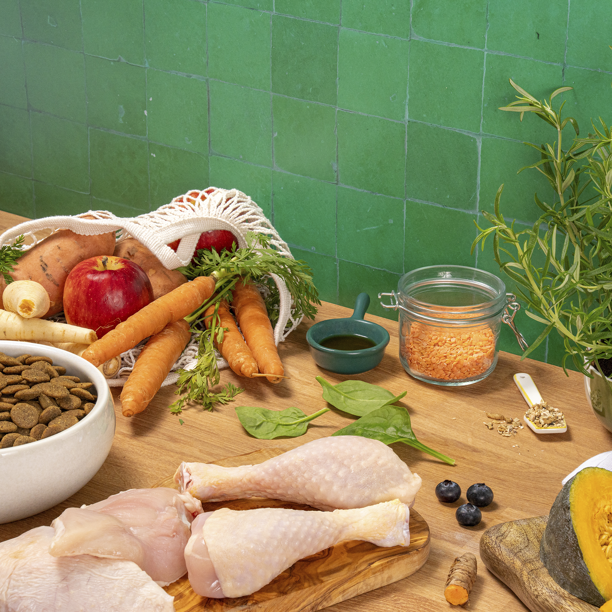 Single Protein Fresh Chicken Dry Food Lifestyle Ingredients