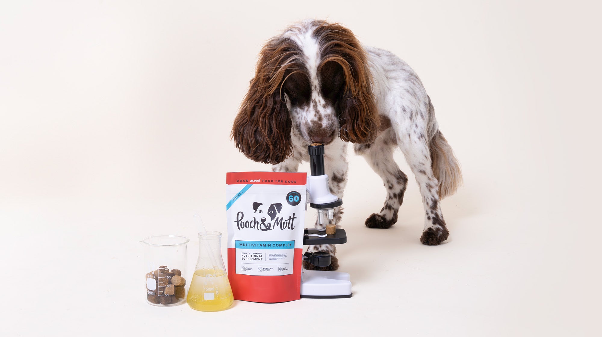 Your dog’s gut health: What is a microbiome?-Image 6