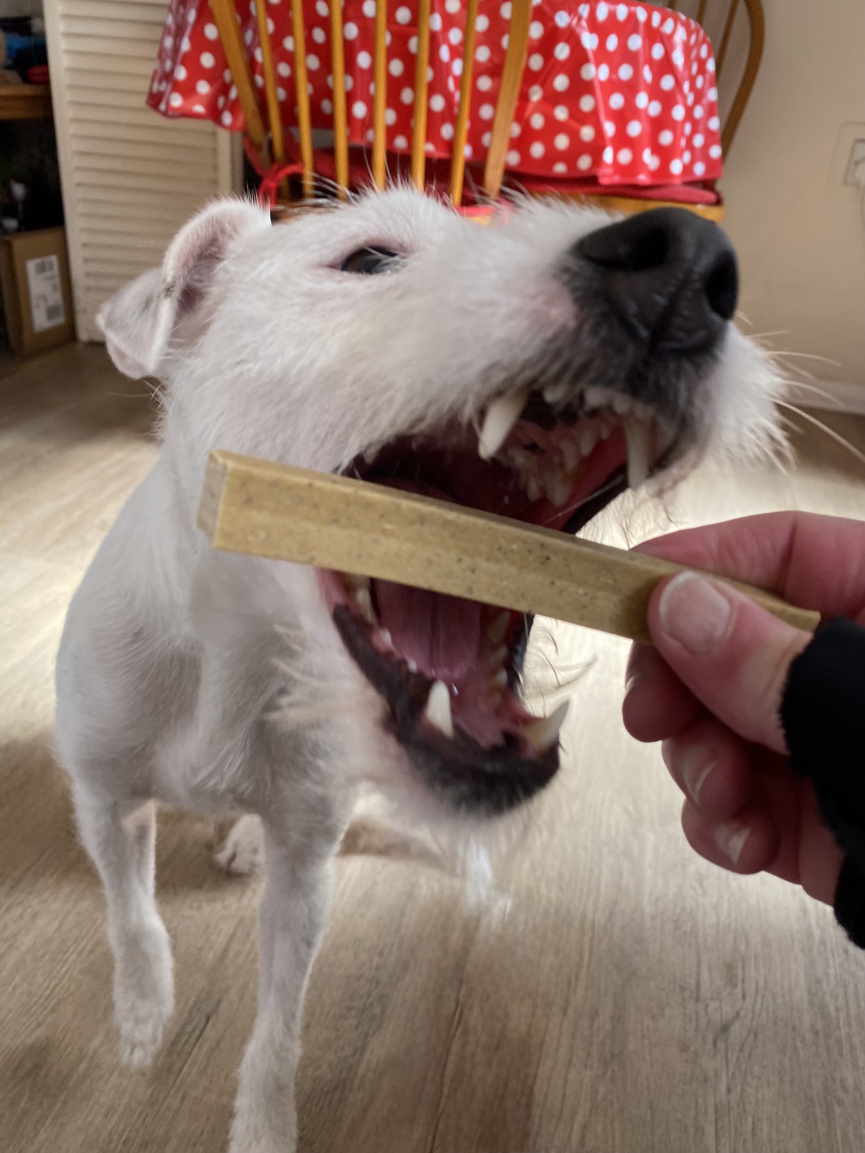 IMG 6202 - Mandy Measures