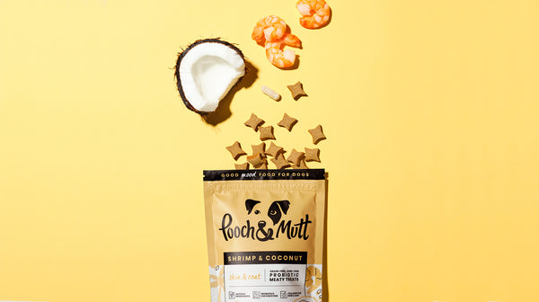Pooch & Mutt's Shrimp & Coconut Meaty Treats packet, with fresh ingredients bursting out, against a yellow background