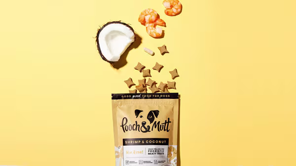 Pooch & Mutt's Shrimp & Coconut Meaty Treats packet, with fresh ingredients bursting out, against a yellow background