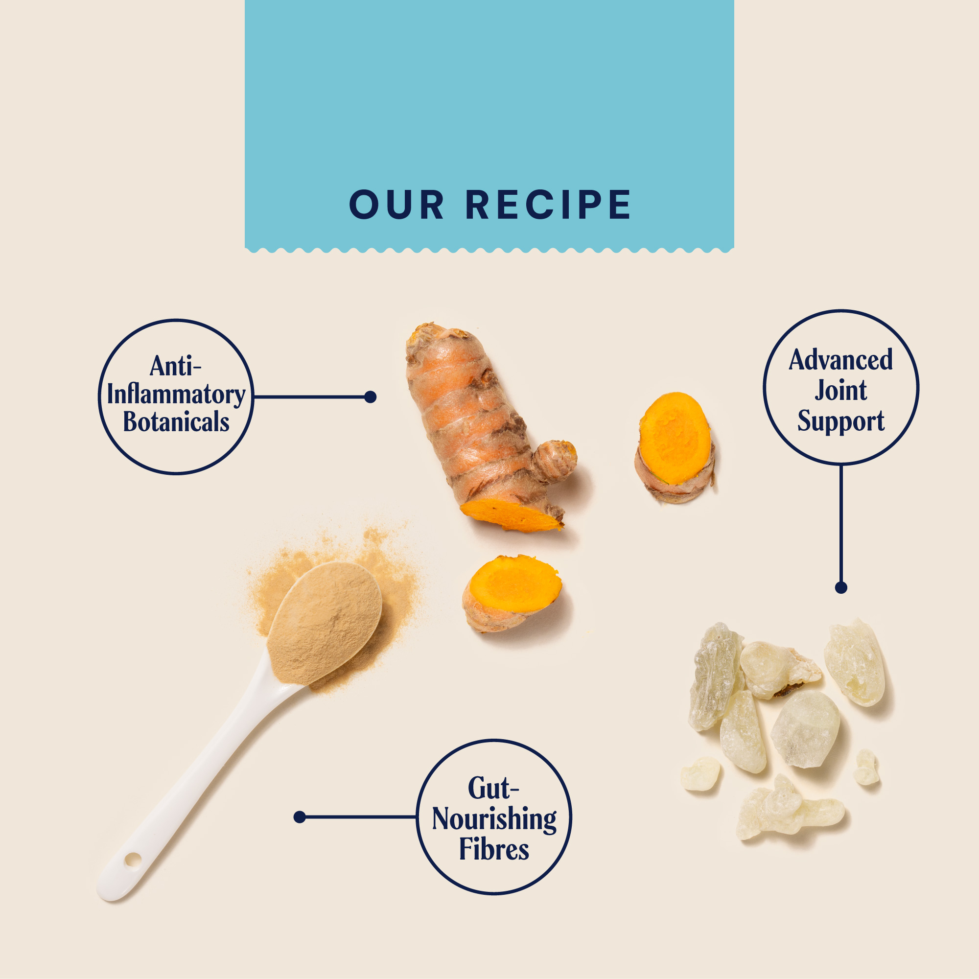 Gut-Joint Matrix Supplement GHSUP180JOINT 1 recipecard