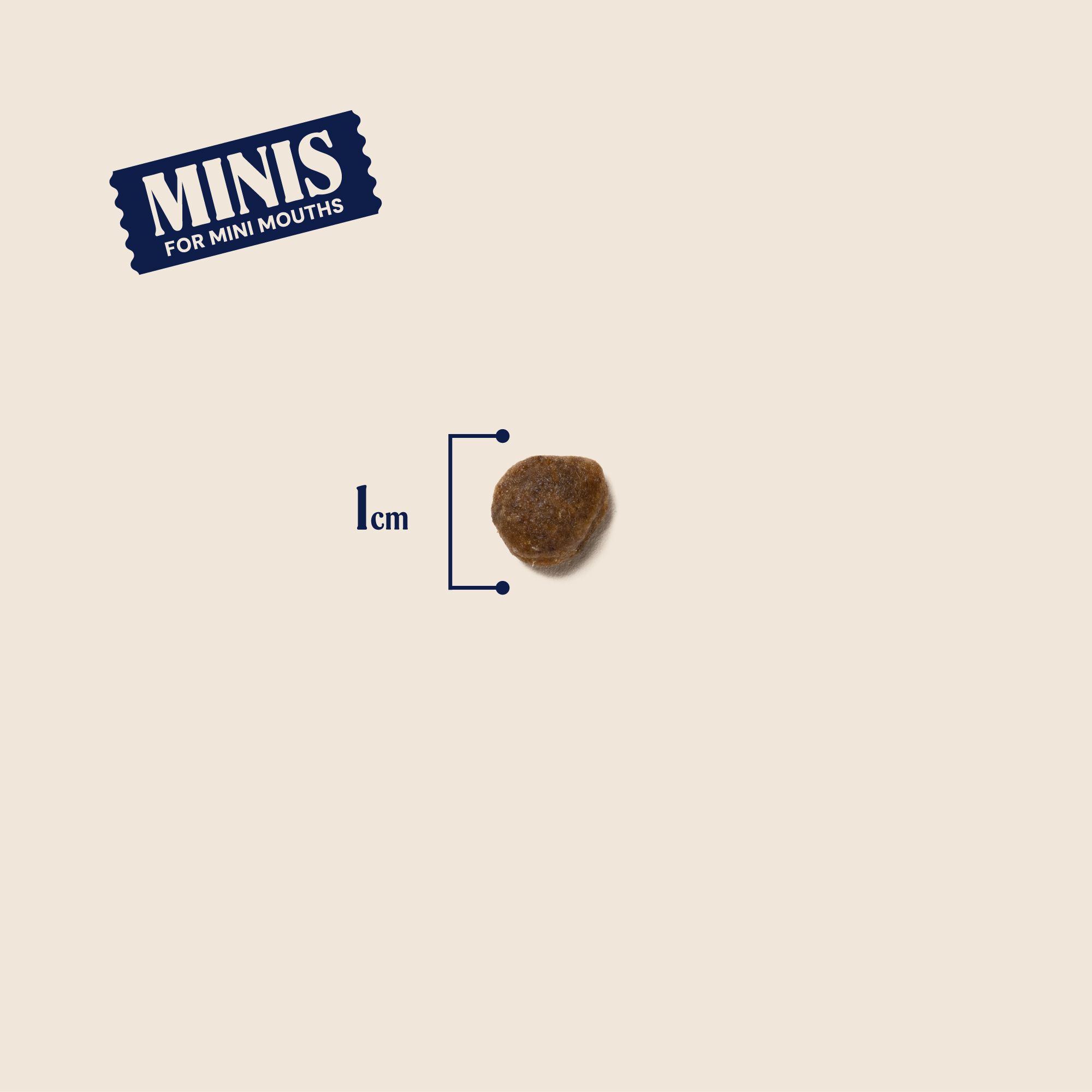 P&M SIZE DRY-FOOD PRIMAL VENISON-MINIS