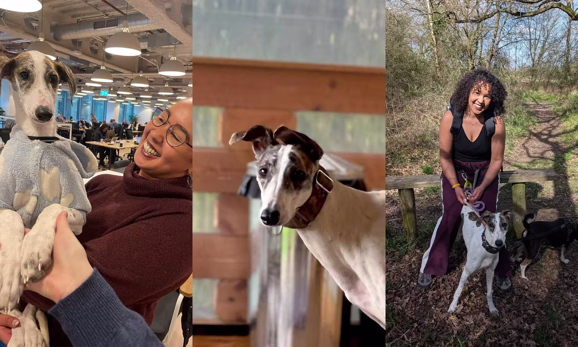 Walk through Artemis's Gut Health Test Report with Dr Bushra-Image 1