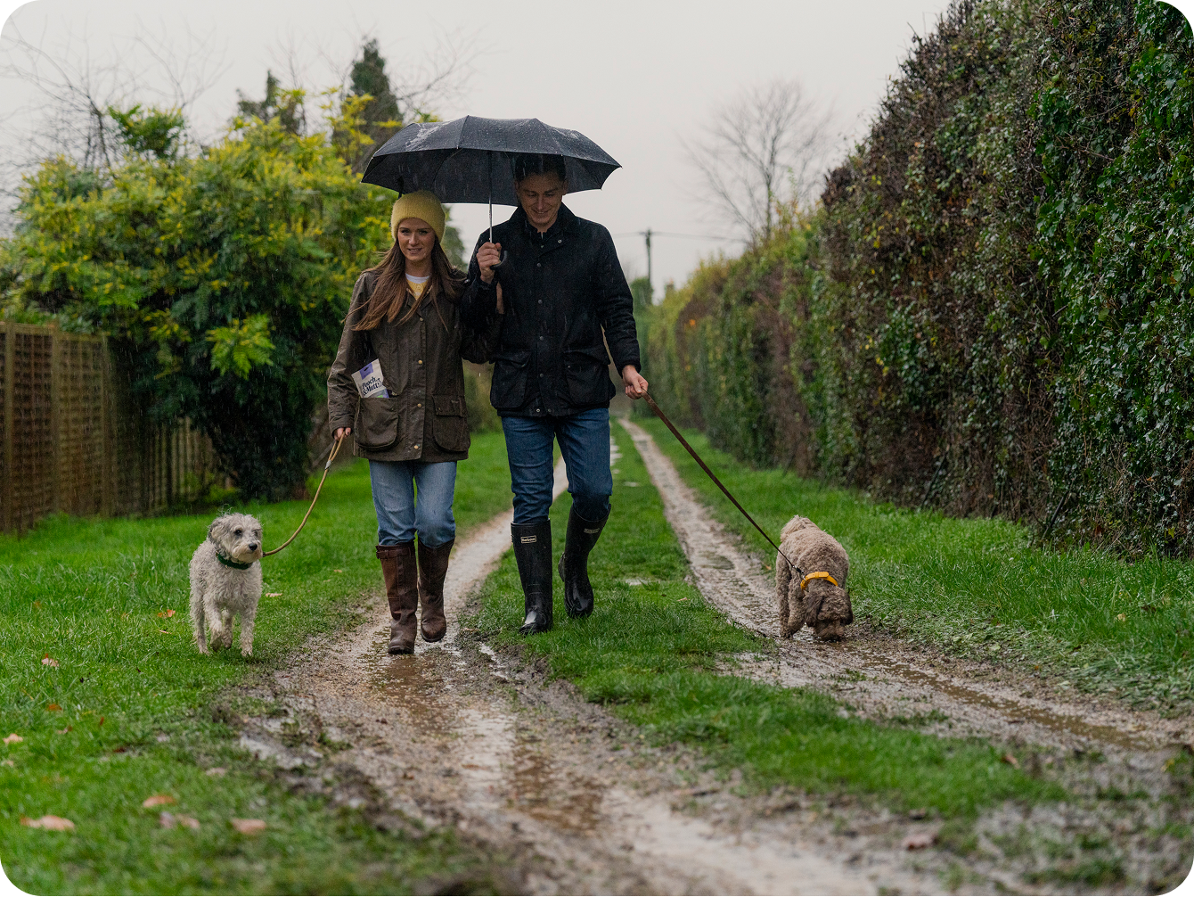 Sustainability at Pooch & Mutt