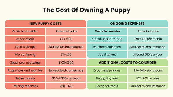 The costs of owning a puppy-Image 1