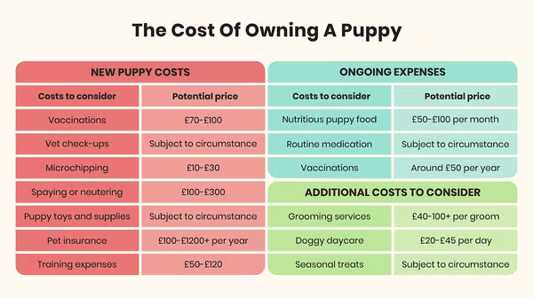 The costs of owning a puppy-Image 1