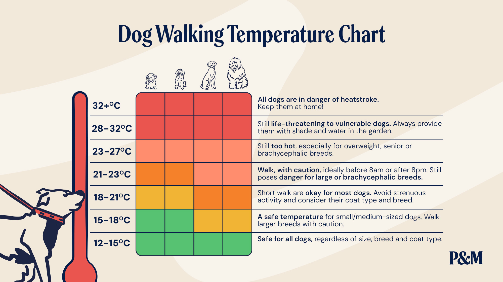 P&M BLOG DOG WALKING TEMPERATURE INFOGRAPHIC