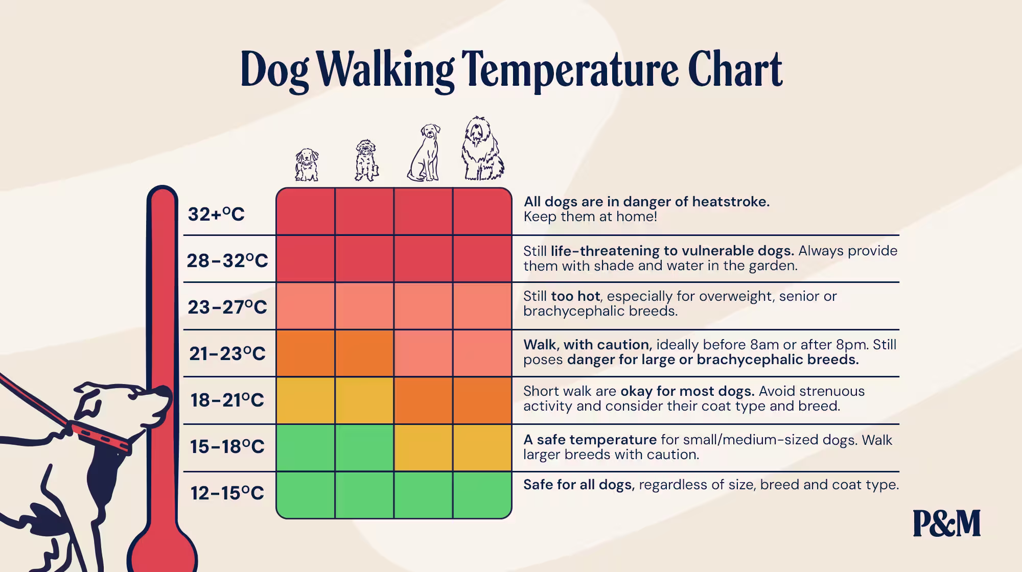 P&M BLOG DOG WALKING TEMPERATURE INFOGRAPHIC